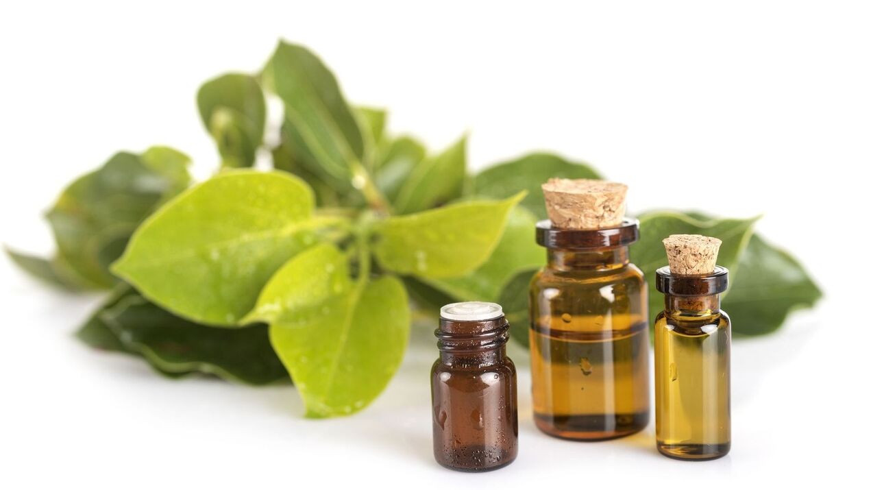 Camphore -Extrakt in Hondroine Gel