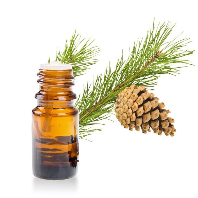 Tannenextrakt als Teil von Hondroine Gel